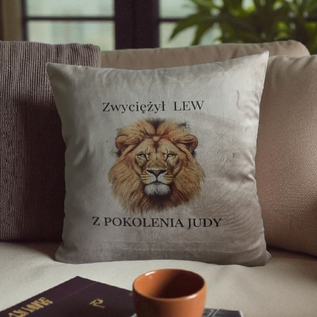 Poszewka welurowa