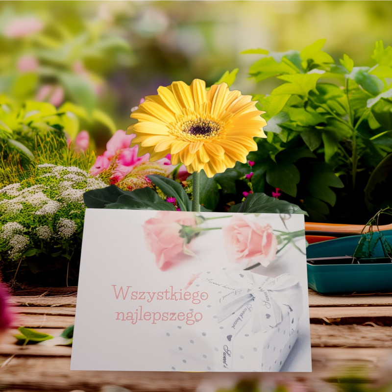 Kartka okolicznościowa